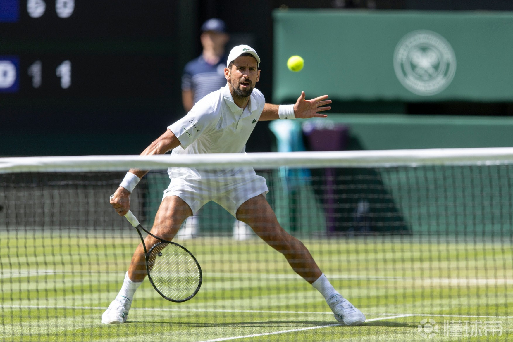 开云在线-包含德约科维奇在切尔西比赛中表现优异，刷新纪录引发热议！的词条-开云在线